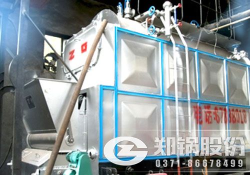 沈丘某醫院DZL生物質鍋爐案例