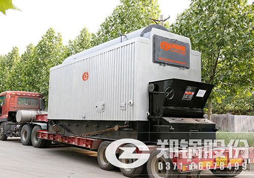 10噸生物質鍋爐2