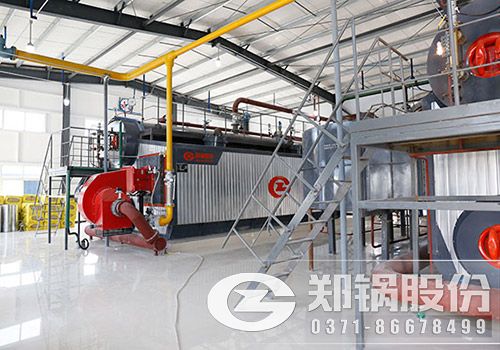 25噸(17.5MW)燃油燃氣鍋爐1