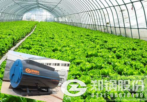 蔬菜大棚鍋爐.jpg