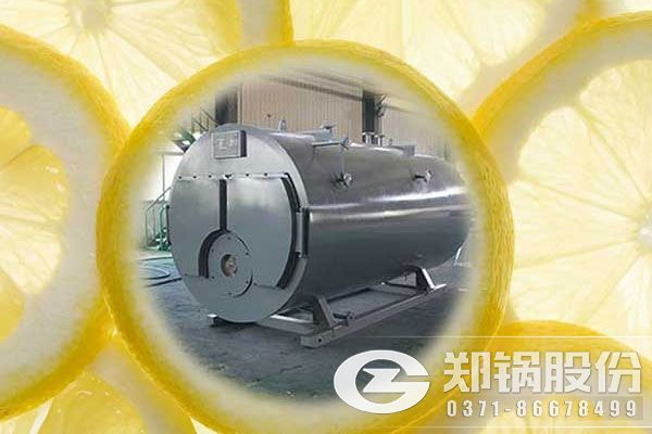 WNS10-1.25-Y、Q詳細參數和報價.jpg