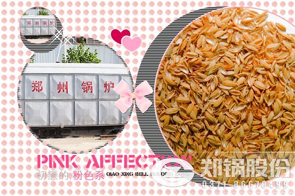 10噸/h蒸汽稻殼發電爐.jpg