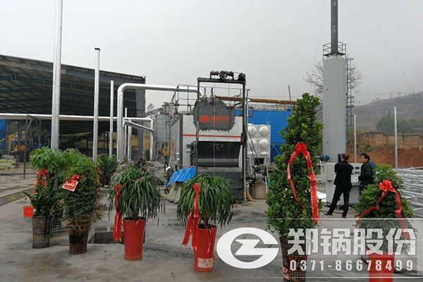 10T/H生物質蒸汽鍋爐技術參數,價格及安裝尺寸.jpg