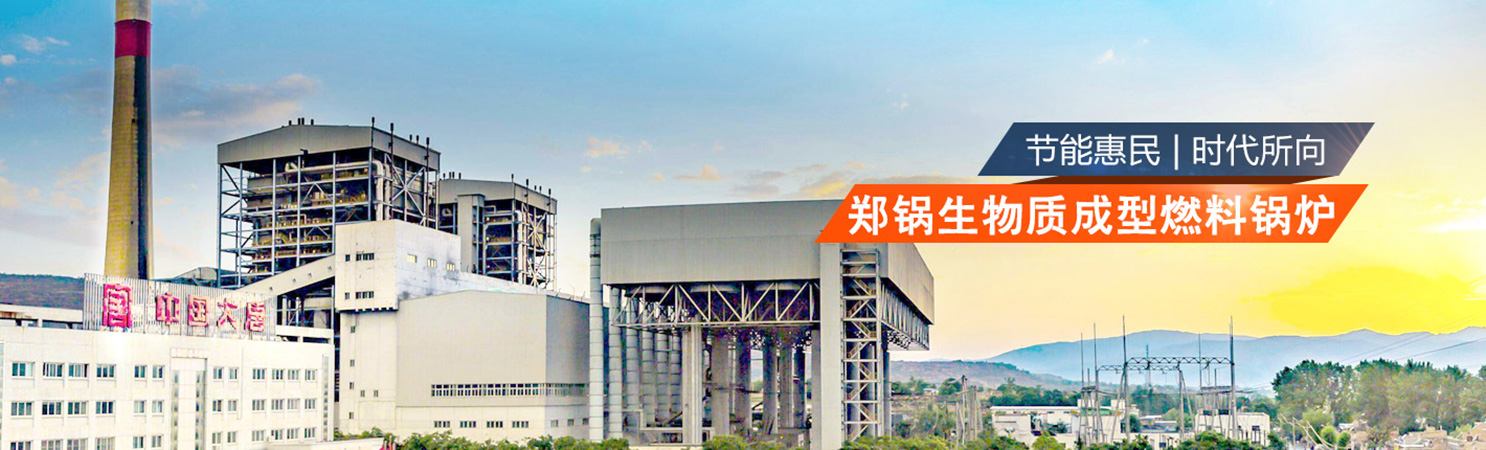 大型生物質發電鍋爐