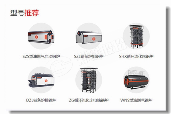 鏈條蒸汽鍋爐廠商