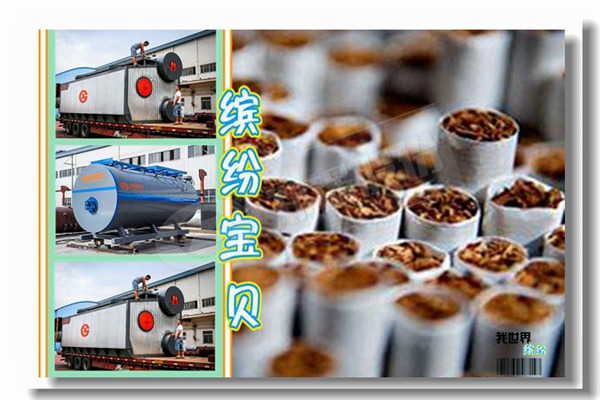 江油鍋爐廠柴油采暖爐