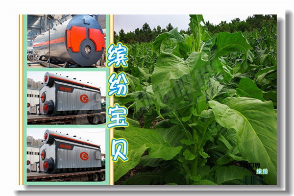 淮南市流化床鍋爐