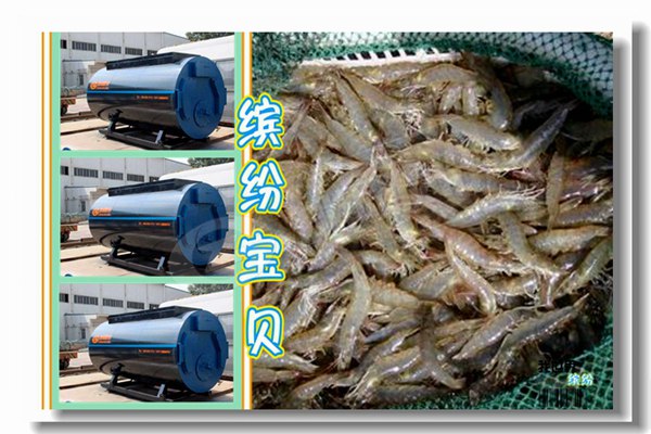 ZG-160/9.81-T 生物質電站鍋爐